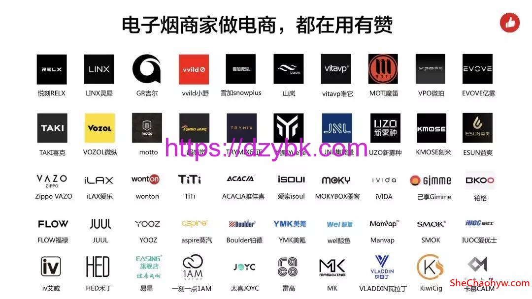 国标电子烟的主要有哪些品牌？ 图1