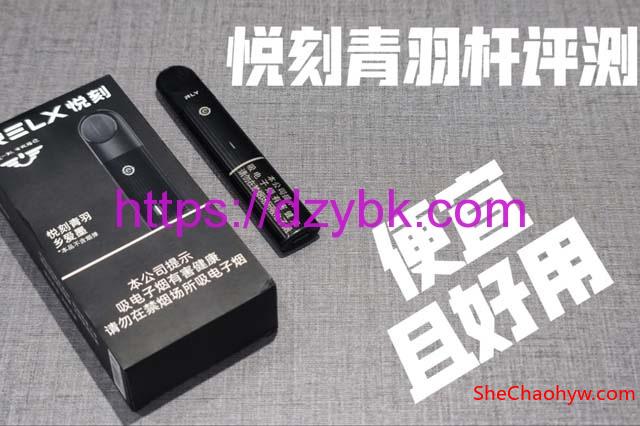 relx悦刻国标高性价比系列青羽系列测评 图1