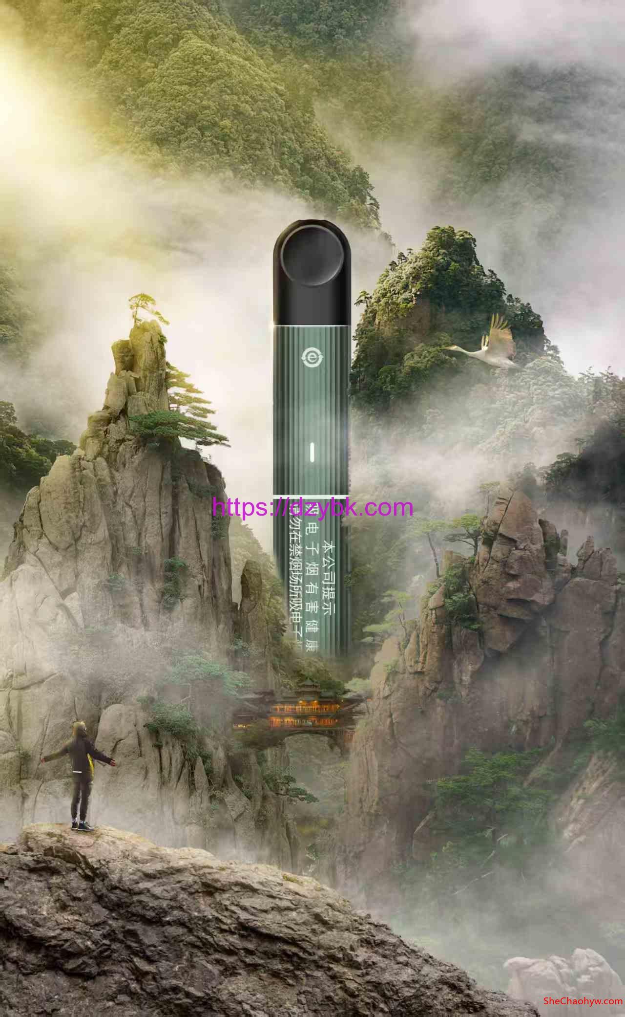 RELX悦刻青羽系列烟杆详细介绍
