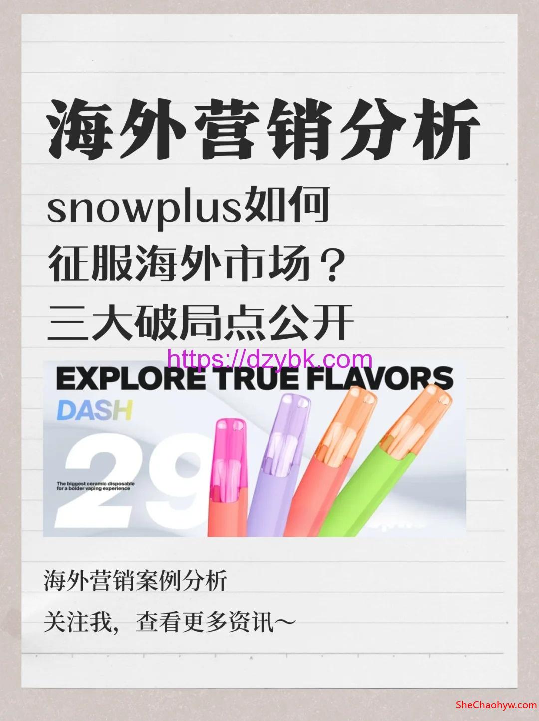 snowplus雪加品牌是怎么成功出海的？ 图1
