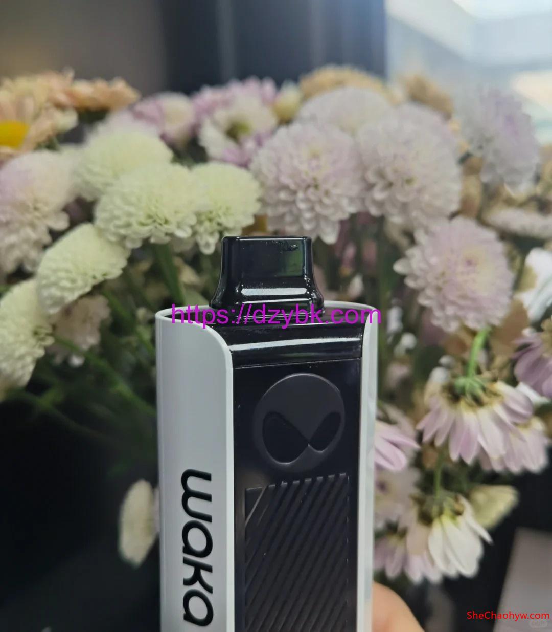 悦刻relx旗下品牌waka热门爆款一次性 图1
